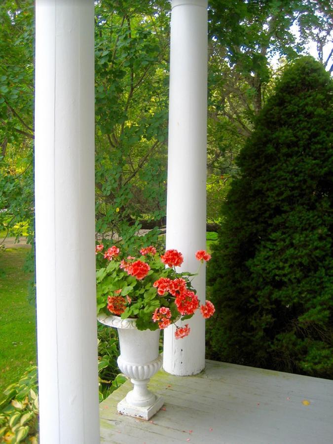 Millbrook Country House Kültér fotó
