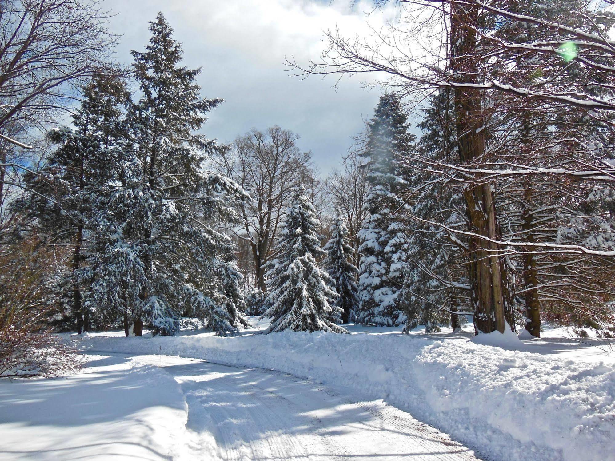 Millbrook Country House Kültér fotó